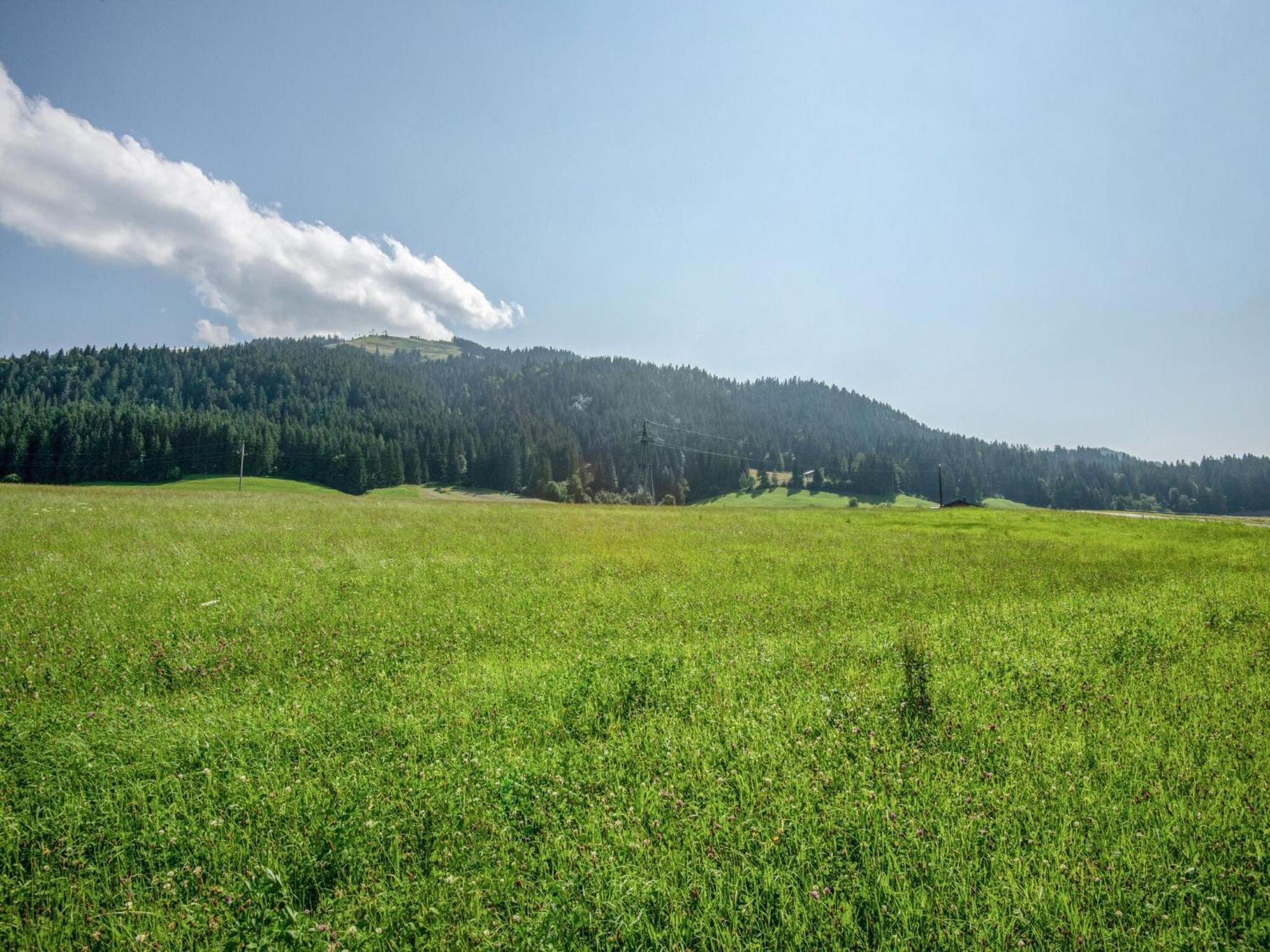 Valley View Holiday Home In Ellmau Buitenkant foto